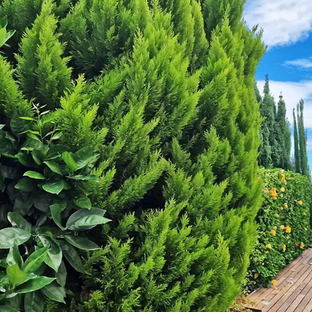 Villa Valentina By Lovelystay *